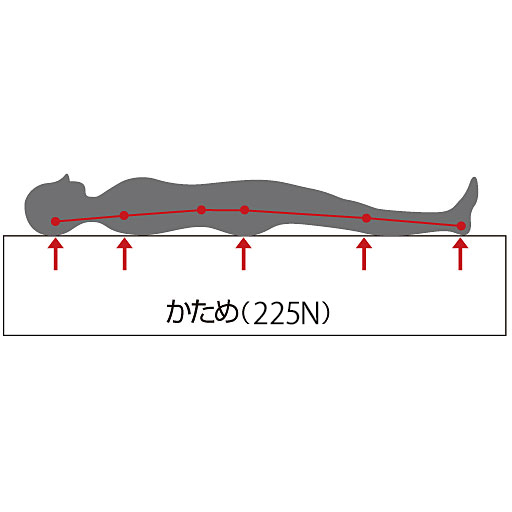 硬質タイプ<br>体重が大きくかかる腰部分も沈み込みにくいので、腰が気になる方にも人気です。