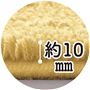 毛足の長さは約10mm。ふわさらのソフトな踏み心地です。