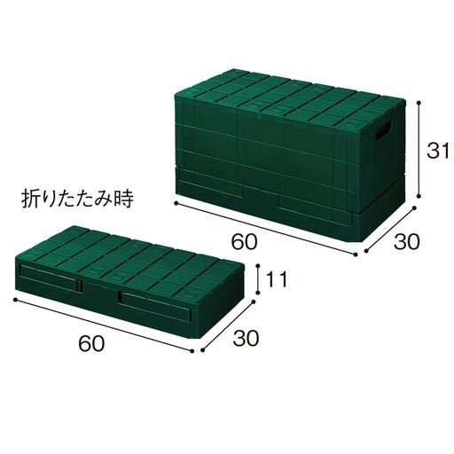 グリーン スタンダード(容量約38.5L)<br>内寸:約幅55.5×奥行25.5×高さ28.5 ※寸法の単位はcmです。