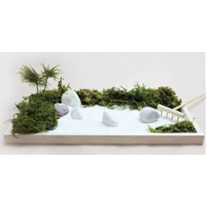 苔プリ×枯山水キット