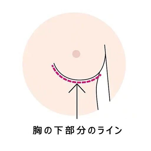 胸の下部分のラインとは、バストの底面の周径のこと。平胴体型さんはラインが広め。胸の下部分のラインとワイヤーのカーブが合わないと、痛くなったりバストがはみ出すことも。