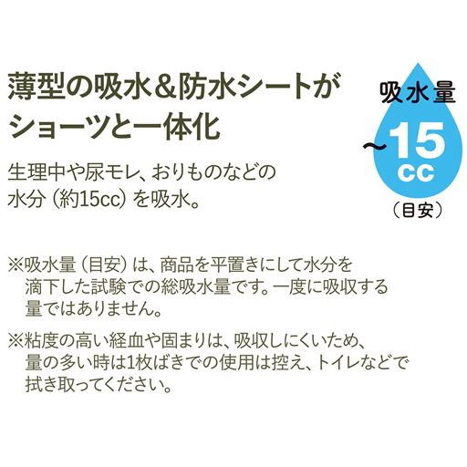 薄型の吸水&防水シートがショーツと一体化