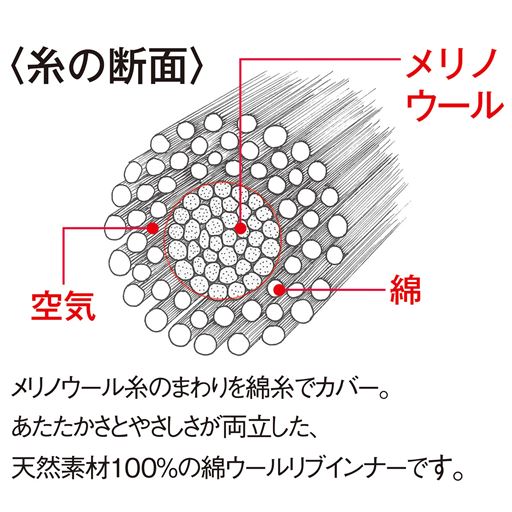 綿90%メリノウール10%<br>〈糸の断面〉メリノウール糸のまわりを綿糸でカバー。あたたかさとやさしさが両立した、天然素材100%の綿ウールリブインナーです。