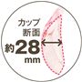 カップ断面 約28mm