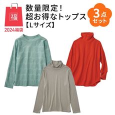 【Lサイズ】数量限定!超お得なトップス3点セット福袋