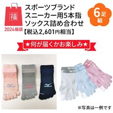【ネット限定福袋】スポーツブランドスニーカー用5本指ソックス・おまかせ6足組
