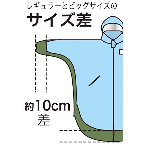 選べる2タイプ レギュラー ビッグ