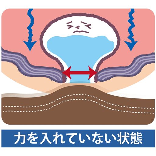 膀胱などの臓器を支えている骨盤底筋は、加齢や出産で緩んでしまいます。<br>※イメージ