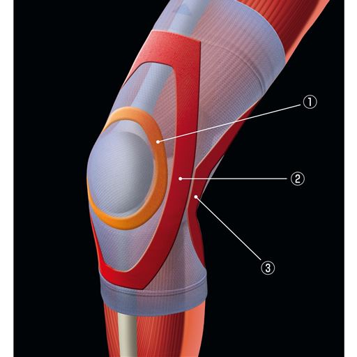 (1)ひざ頭のグラつきを抑える<br>(2)ひざ周りの筋肉を安定<br>(3)ひざの曲げ伸ばしをサポート個<br>※イメージ