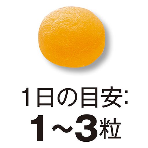 1日の目安:1～3粒<br>オレンジ風味