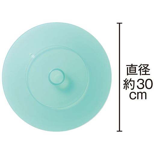 大 直径約30cm