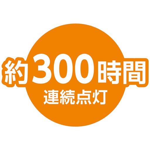 約300時間 連続点灯