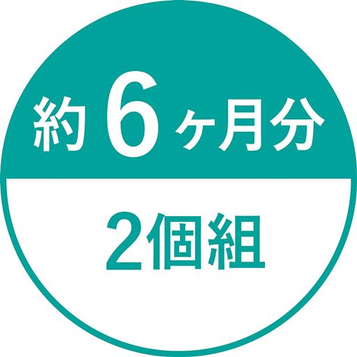 約6ケ月分