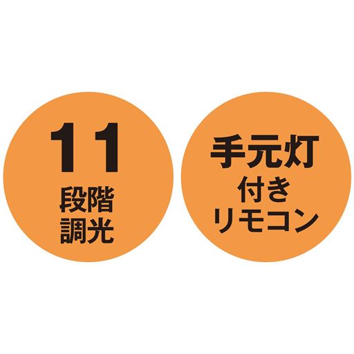 11段階調光 手元灯付きリモコン