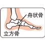 舟状骨を立方骨を下から上に持ち上げアーチを作ることで、足の指が正しい位置に整い歩きやすくなります。※使用感には個人差があります。