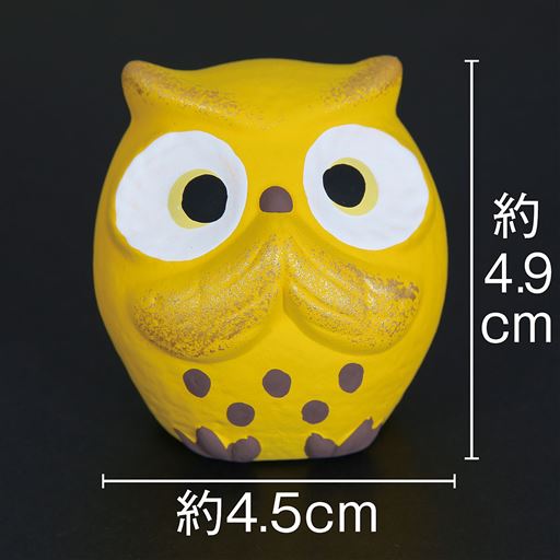 約4.9cm×約4.5cm