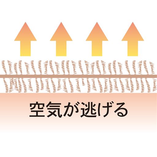 【一般的なブランケット】 <br>毛足が短く、薄いとスカスカで暖かくない。<br>※イメージ