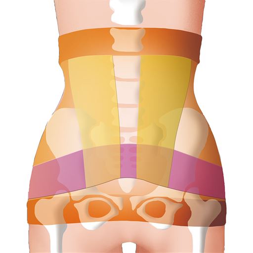 腰方形筋と起立筋に施された2本のテーピングラインがコルセットを巻いた様な安定感に導きます