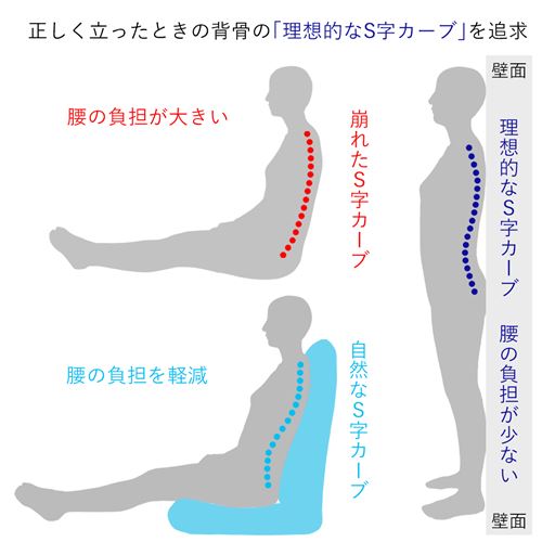 正しく立ったときの背骨の理想的なS字カーブを追求しました。