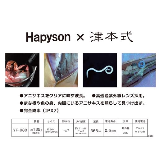 HAPYSON×津本式