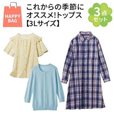 【3Lサイズ】 これからの季節にオススメ!トップス3点セット