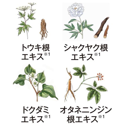 A(フェミニン ウォッシュ)<br>肌に潤いを与える植物由来エキス<br>※1 保湿成分<br>※イメージ