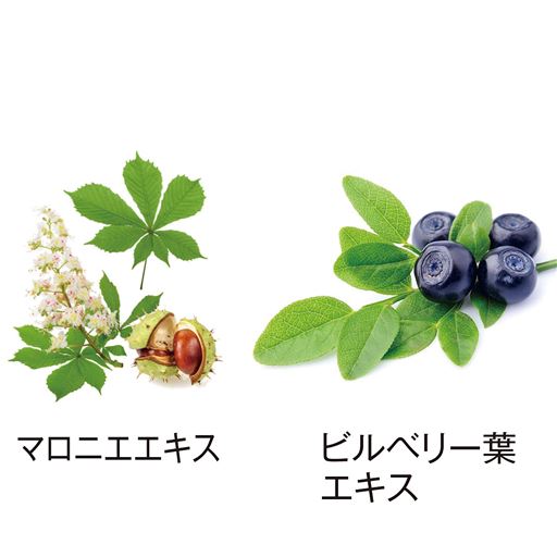 植物由来の保湿成分