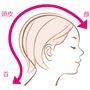 頭皮と顔は1枚の皮で繋がっているので、お顔のケアだけでなく、頭皮のケアも大切。