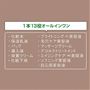 1本13役オールインワン<br><br>※B 年齢に応じた肌ケアのこと<br>※C キメの整った状態