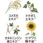 B(ホワイト クリーム)<br>肌に潤いを与える植物由来エキス<br>※1 保湿成分<br>※イメージ