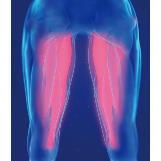 足を外側に引っぱる力が働くテーピングを編むことで、歩くとき内ももに軽い抵抗が加わります ※イメージ