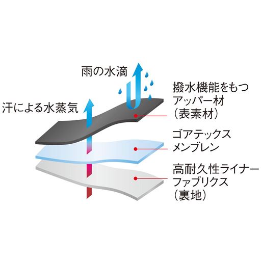 濡れにくい、ムレにくい!【優れた防水耐久性と透湿性を兼ね備えたゴアテックスファブリクス】<br>水の分子より小さく水蒸気の分子より大きい孔が無数にある極薄フィルム「ゴアテックスメンブレン」に高機能生地をラミネート。雨の日でも靴の中を濡らすことなく、ドライで快適な状態をキープ。※ 高耐久性ライナーファブリクスとゴアテックスメンブレンを合わせたものが、ゴアテックスファブリクスです。※イメージ