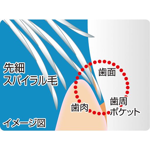 歯周ポケット等のすき間の歯垢も逃がしません