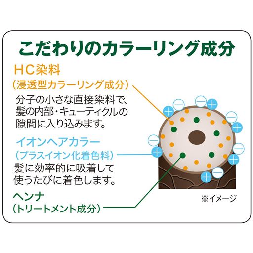 こだわりのカラーリング成分