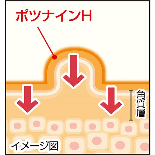 ハトムギエキス(ヨクイニンエキス:保湿成分)+2種の有効成分配合の薬用製法クリームが、気になる部分を包み込んで、肌(角質層)を柔らかくなめらかに整えます。