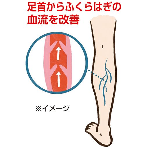 足首からふくらはぎの血流を改善