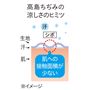 「高島ちぢみ」の涼しさのヒミツ