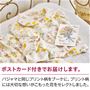 プレゼントにおすすめです。