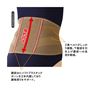 背面は約20cm幅のベルトと2本のプラスチックボーンを内蔵。二重のベルトでしっかり腰まわりを支えます。