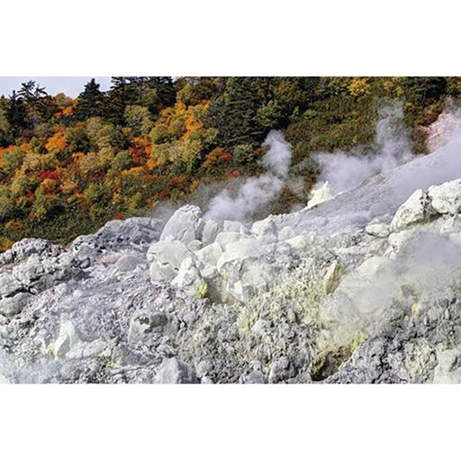 ラジウム鉱石を練りこんだ遠赤外線プリントを高密度に配置<br>※イメージ