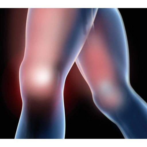 Xテーピングの適度な負荷ではいて歩いて脚を鍛える!<br>大腿四頭筋 筋肉活動量 約132%(※)にアップ!!<br>※ユニチカガーメンテック調べ。測定環境25℃×40%RH。  <br>本品着用時と未着用(素足)時に、1分間に15回のペースで昇り降り運動をした時の比較。モニター5名のアップ率平均。<br>※筋肉活動量増減には個人差があります。<br><br>※画像はイメージです。