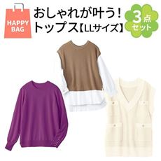 【LLサイズ】おしゃれが叶う!トップス3点セット