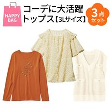 【3Lサイズ】コーデに大活躍!トップス3点セット