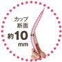 カップ断面 約10mm