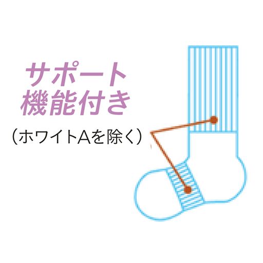 サポート機能付き(ホワイトAを除く)