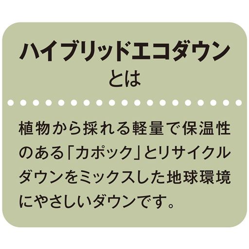 ハイブリッドエコダウンとは