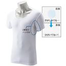 Ｔシャツ用インナー