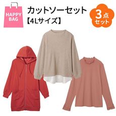 【ハッピーバッグ・4Lサイズ】春色コーデで着回しOK!お得なカットソー3点セット