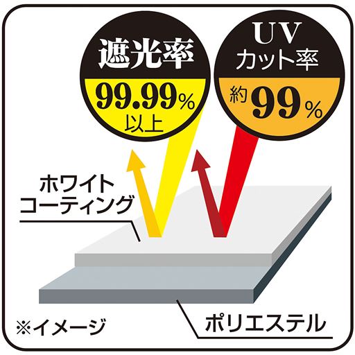 ※イメージ