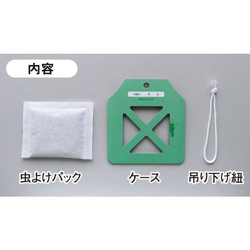 内容